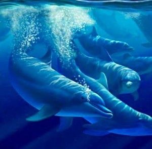 Meet your Posher, Alejandro